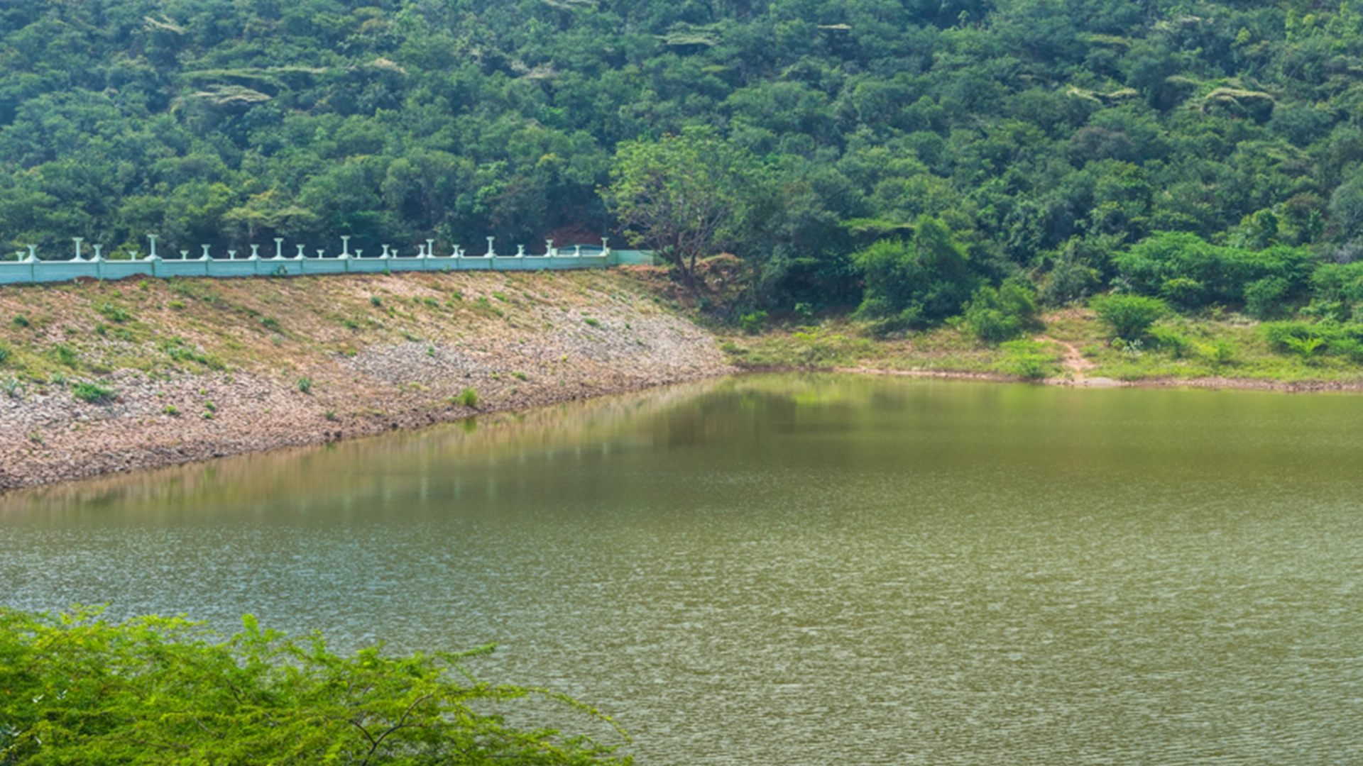 Karaivetti Bird Sanctuary