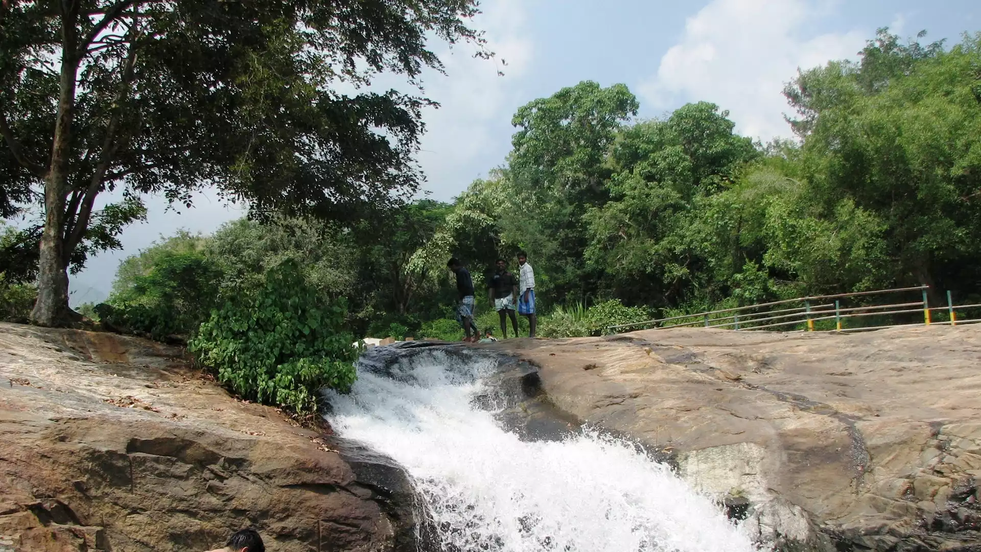 Karaivetti Bird Sanctuary