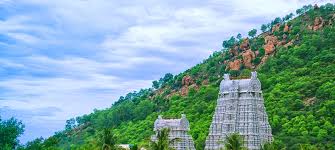 Jayankondam Varatharaja Perumal Temple